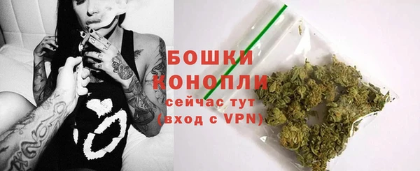 соль ск Бородино
