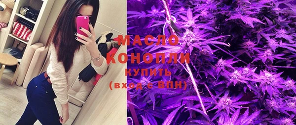 соль ск Бородино