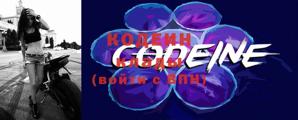 соль ск Бородино