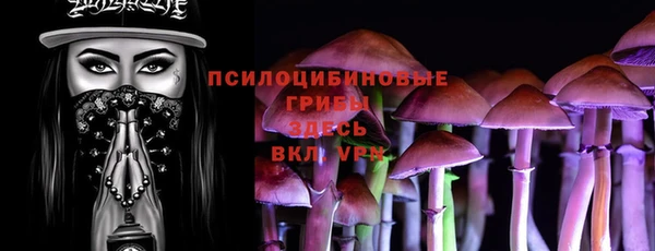 стафф Бронницы