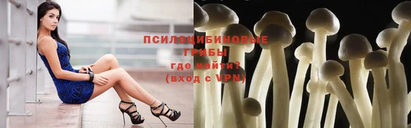стафф Бронницы
